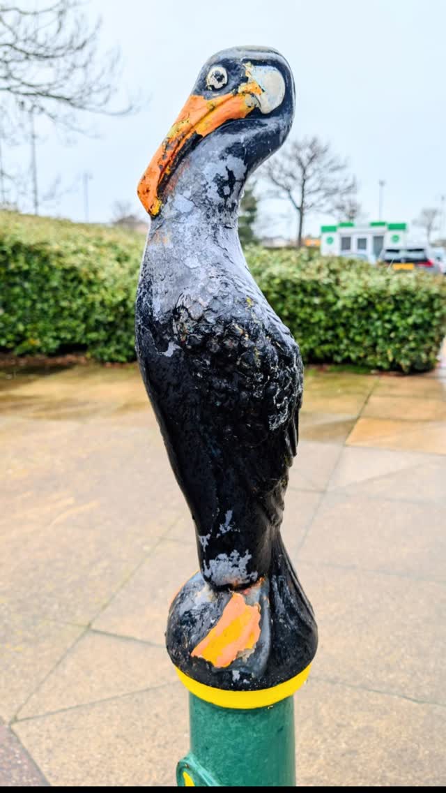 This week's road trip took us via the @morrisons in #Morecambe and I have to say I LOVE the sea bird bollards. Totally rocking the car park 🤘🐦
-
-
#Birds #Lancashire #StreetArchitecture #Nerd