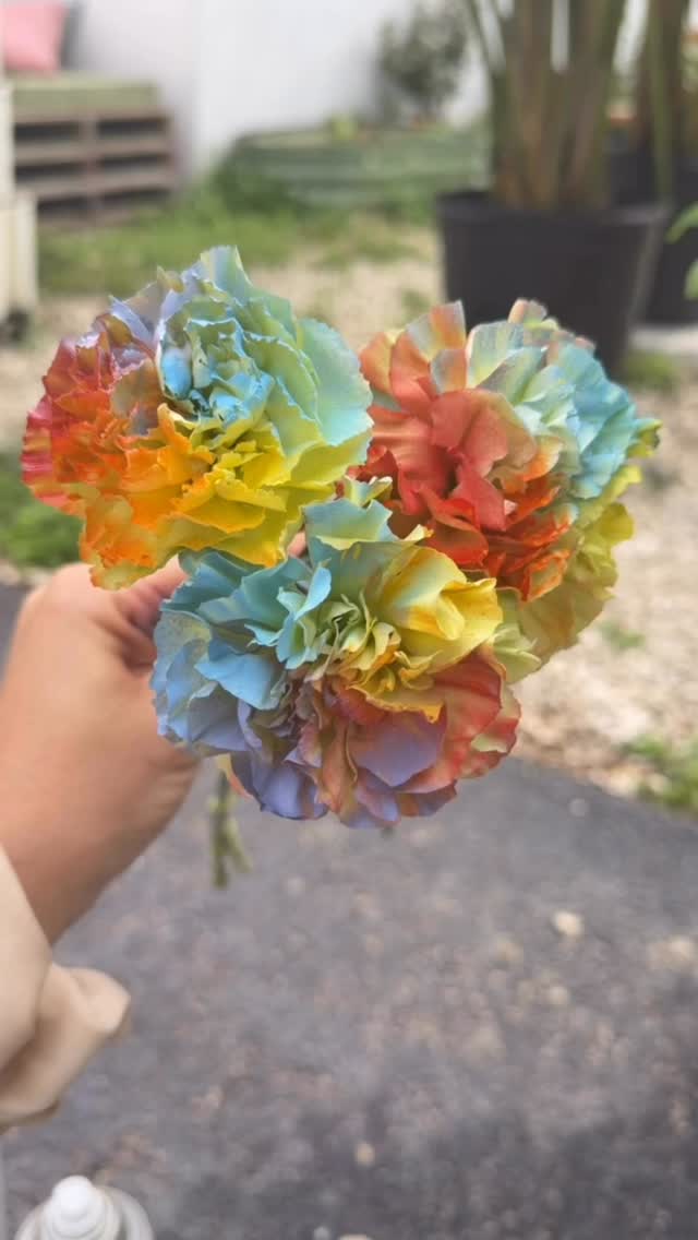 We had so much fun spray painting flowers to be rainbow!!