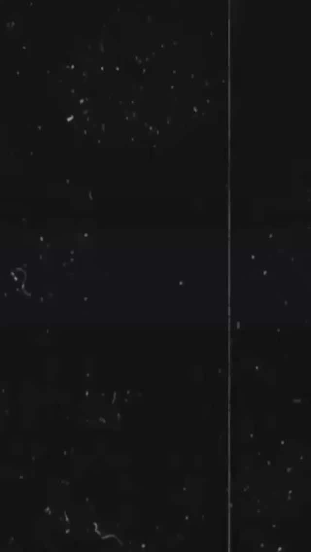 We have sent an exciting email out today - SUMMER WORKSHOP 2026 for 10+ years ✨ Keep an eye out for when we announce our guest teachers ⭐️ #scacademyofdance