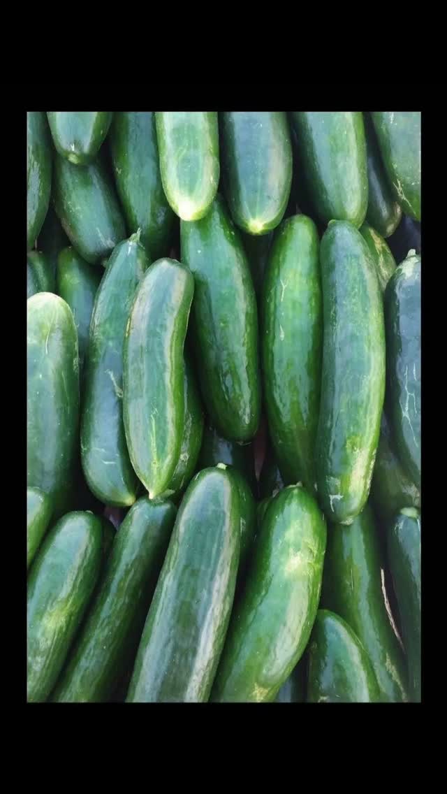 Refreshment redefined!
Meet Mark’s Biodynamic cucumbers! 🥒✨
Our latest juices now feature biodynamic cucumbers grown by our friend Mark @saveoursoil
Working with local farmers who treat the earth with this much respect isn't just a choice for us—it’s the secret ingredient to the most vibrant juice you’ve ever tasted.
Why we love the humble cucumber:
💦Ultimate hydration: 95% water to keep you glowing from the inside out.
😌Skin health: Loaded with silica for that natural "lit-from-within" look.
💪Essential nutrients: High in Vitamin K antioxidants to keep you feeling sharp.
Support local farming and taste the difference that healthy soil makes. Grab a green juice and see for yourself! 🌿🥤
@farmersmarketcarlton
@farmersmarketalphington
@elthamfarmersmarket
@melbournefarmersmarkets
#SaveOurSoil #Biodynamic #FarmToBottle #ColdPressedJuice #HealthyHabits