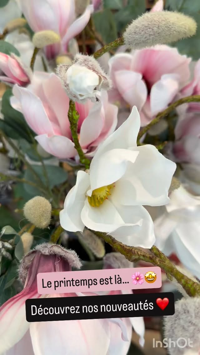 Du soleil, des fleurs… ça ne sentirait pas le printemps ? 🌸😇