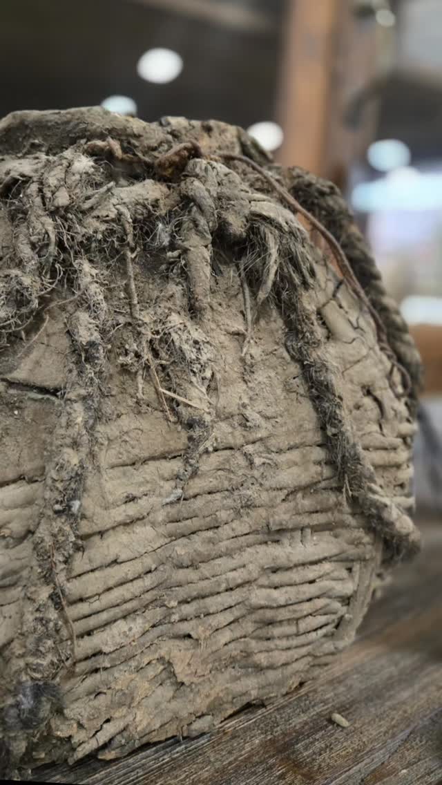 OKC—opening day is here @thegreatjunkhunt
From custom-built cabinets crafted with reclaimed wood and vintage windows to timeworn vessels, layered textures, and one-of-a-kind finds -- this collection was made to be experienced in person.
Thoughtfully sourced. Easy to live with. Designed to blend old + new effortlessly.
Come shop early for the best selection and see what speaks to you.
We’re here today 4-9 and Saturday 9-4 —can’t wait to see you.
Handmade. Curated. Vintage