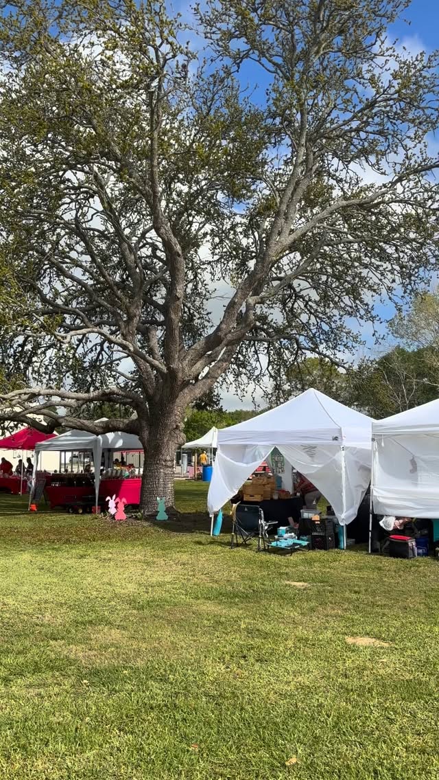 It’s the spring equinox so I changed out some of my flavors (did you know that’s when I change them up? On the equinoxes). The new flavors are “roses are cake” a pistachio cake and rose buttercream, gluten free/vegan “wedding cake”, and coconut delight, one of my favorites. There’s some #maximinis too. #cake #cakepops I’m at 14610 SH-6
Santa Fe, TX, United States