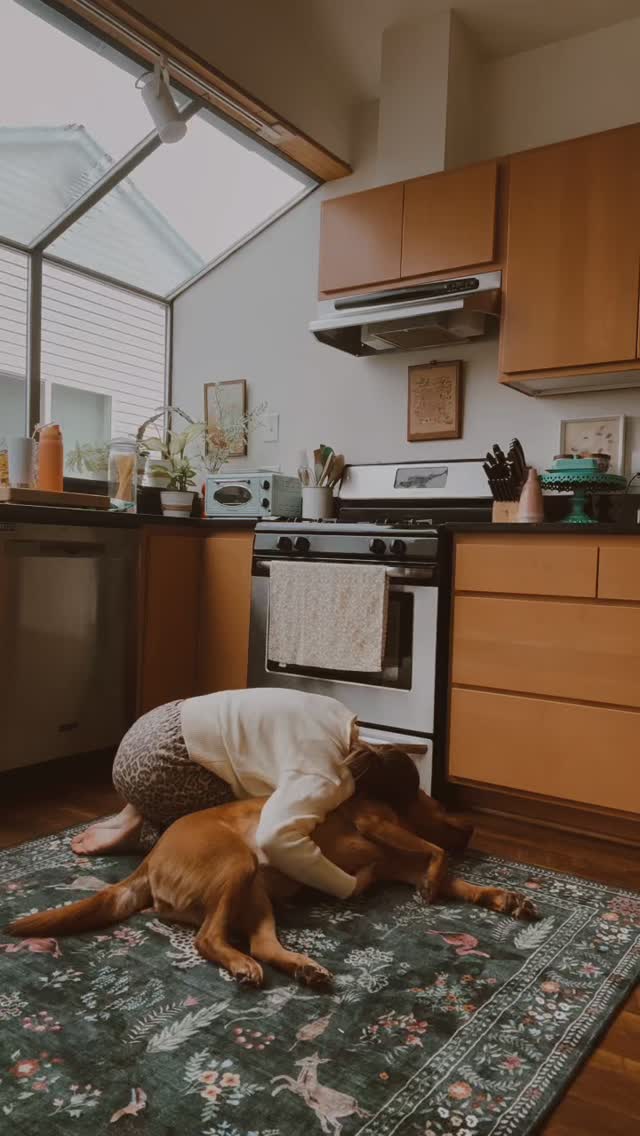 🐾 actual footage of how I’m processing 2026🐾
But for realz, along with yoga, meditation, quality intimacy, and nourishing food, Ruby pets are at the top of my self-care list.