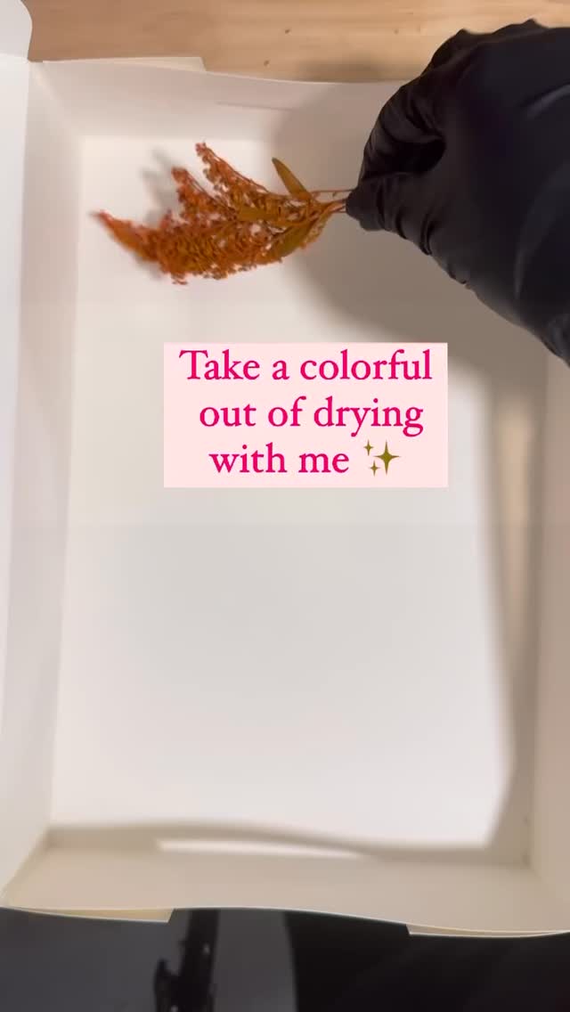 A bunch of beauties ready to be preserved 😍
Reserve your date this month and get a free large ring holder with code FREERING ✨🩷🌸
#resinfloralpreservation #pressedflowers #bridalbouquet #floralpreservation #flowerpreservation