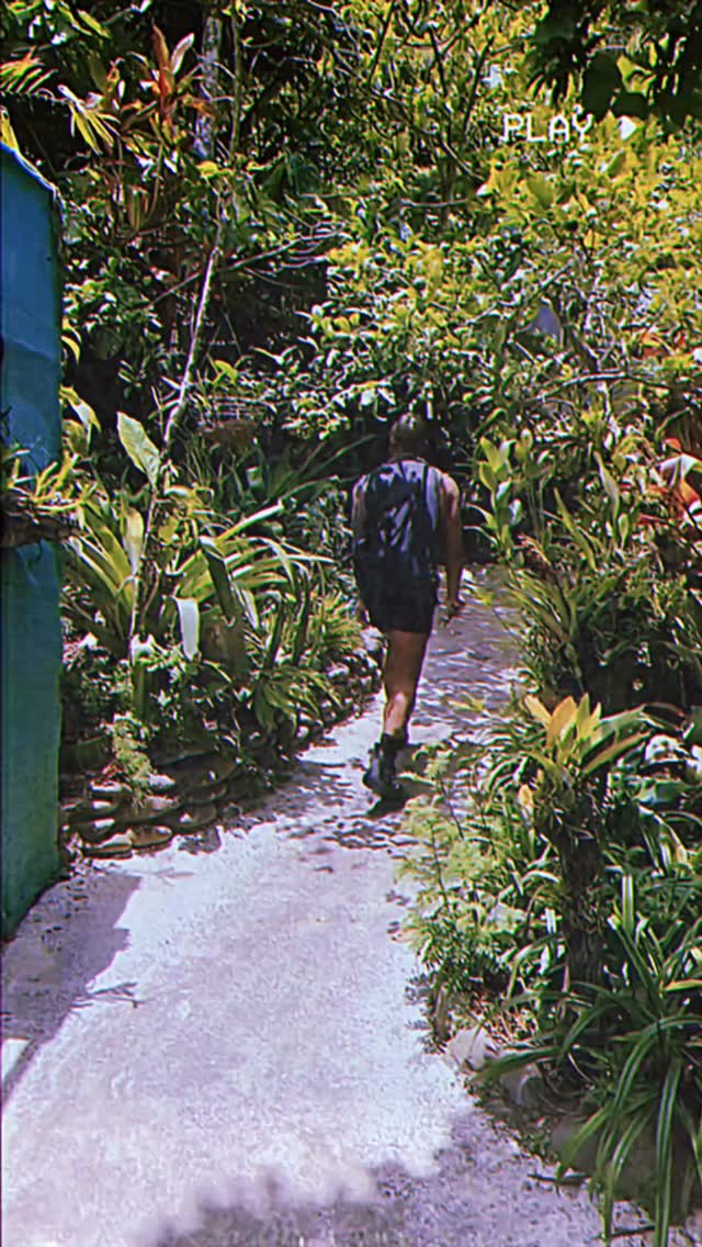 687 days ago we visited
@monteverdeorchidgarden
59 days later, we moved here.
Safe to say the flora love was that strong 💚