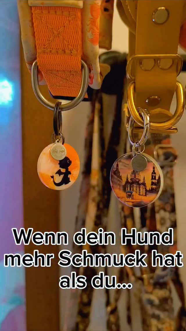 Mein Hund hat zig Geschirre ohne Marken…
eure Hunde sehen aus, als hätten sie den Schmuckladen leergekauft 😜
Erzählt mir mal wer mehr Bling hat – ihr oder euer Hund? Ich wette, ihr müsst zugeben: es ist euer Vierbeiner! 😂
📸 @cookie_redtriaussie vielen Dank lieber Cookie, dass du uns deine Gardrobe zeigst und natürlich ganz lieben Dank für deine wufftastische Treue ♥️