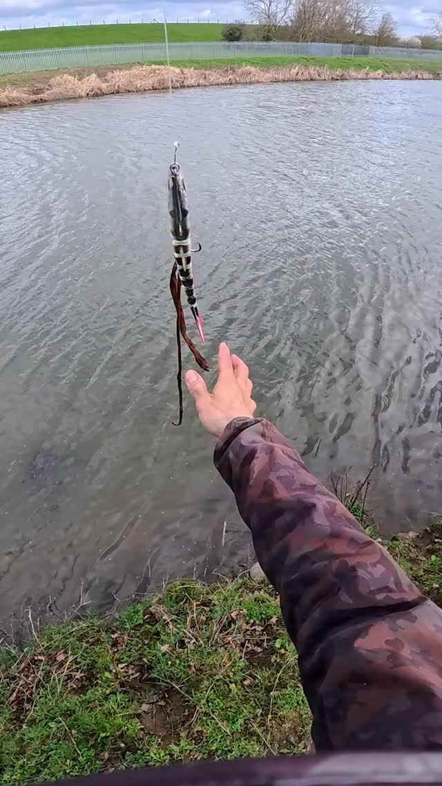 Another one missed! 🥲 #fishing #fish #pikefishing #fishes #passion