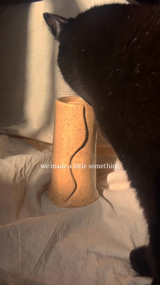Out of the kiln and ready for its first sun-drenched shoot (featuring a favorite cat and speckle glaze)
Our Spring sample vase will be there in all its glory tomorrow at our vase workshop @monpotehome as one a different vase forms you can make 🌺
-
#pottery #behindthescenes #homedecor