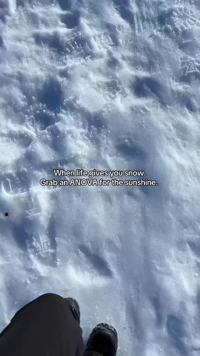 Forever bringing the sunshine. âď¸â¨