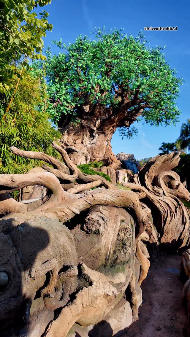 #AdventHealthAd: When an asthma inhaler was accidentally left at home, what could’ve been a stressful moment during our day at Disney’s Animal Kingdom at Walt Disney World Resort turned into a reminder of how seamless care can be.
With AdventHealth’s World of Wellness services—accessible right through the My Disney Experience app—we connected with a provider via telehealth within minutes. They reassured us, sent a prescription straight to the park’s First Aid station at Disney’s Animal Kingdom, and our daughter was back to enjoying Disney’s Animal Kingdom in no time. ✨
From telehealth visits to on-site prescription pickup, AdventHealth made getting care easy, fast, and stress-free—so we could focus on what mattered most: our family’s magical day together.
#AdventHealth #WholePersonCare #FamilyHealth #Telehealth StayInTheMagic