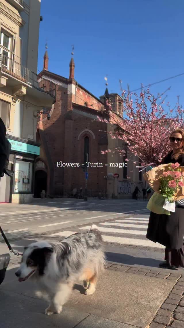 Primavera a Torino 🌸
tra rami di pesco e nuove ispirazioni, porto un po’ di questa bellezza anche nei miei progetti tra Italia e California.
Spring in Turin 🌸
among peach blossoms and new inspiration, I bring a touch of this beauty into my work between Italy and California.
@victorcreazioni_ 📸✨✨✨