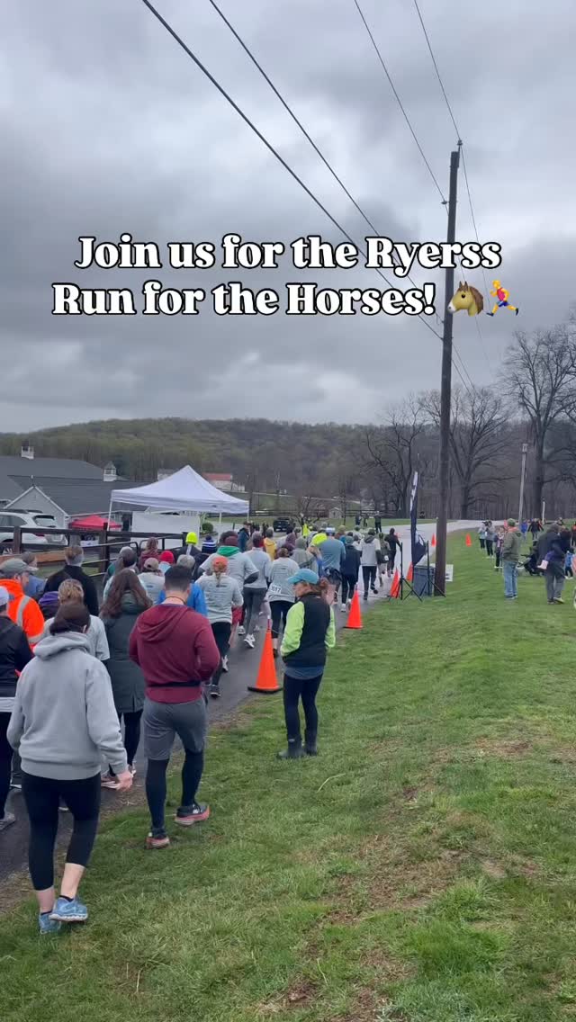 Gallop for a worthy cause! 🐴🏃♂️ Join us for a 10K run, a 5K run, or a 1-mile walk on a cross-country course at the Ryerss Run for the Horses on Saturday, April 18th. Experience our 10K course—no need to repeat the 5K loop! All ages are welcome; you’ll receive a FREE t-shirt if you pre-register.
Explore our gift shop, spend time with our residents, and enjoy our free post-race party celebration with music and a beer garden. Can’t attend? Donate to help sustain the farm!
Click the link in our bio to learn more, register, or donate! #ryerss #peace #horse #farm #run