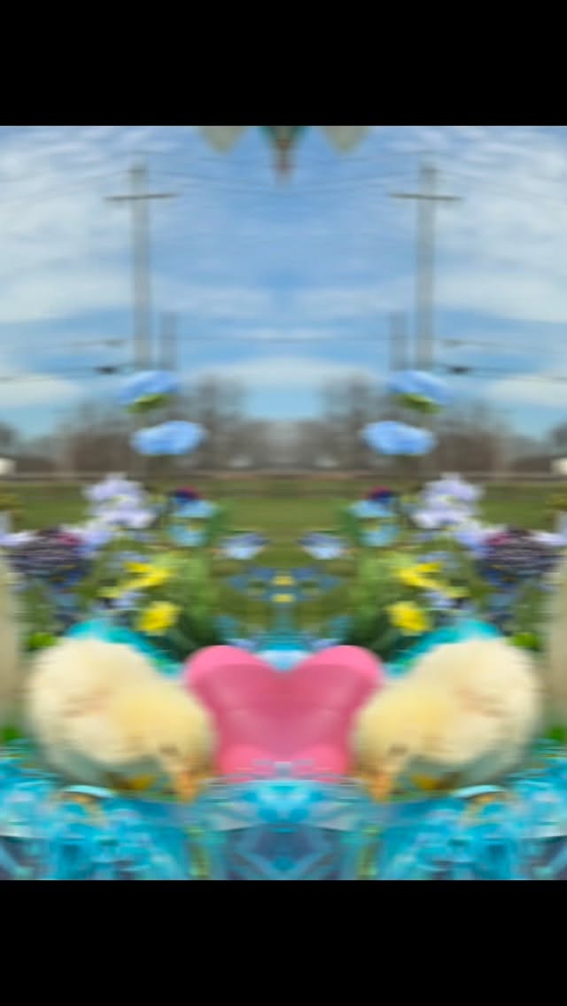 These two said they’re ready for their close up 📸 🐣 🐥
#junctionfarmky #louisvilleky #farmlife #meetourfurryfriends #easteregghunt