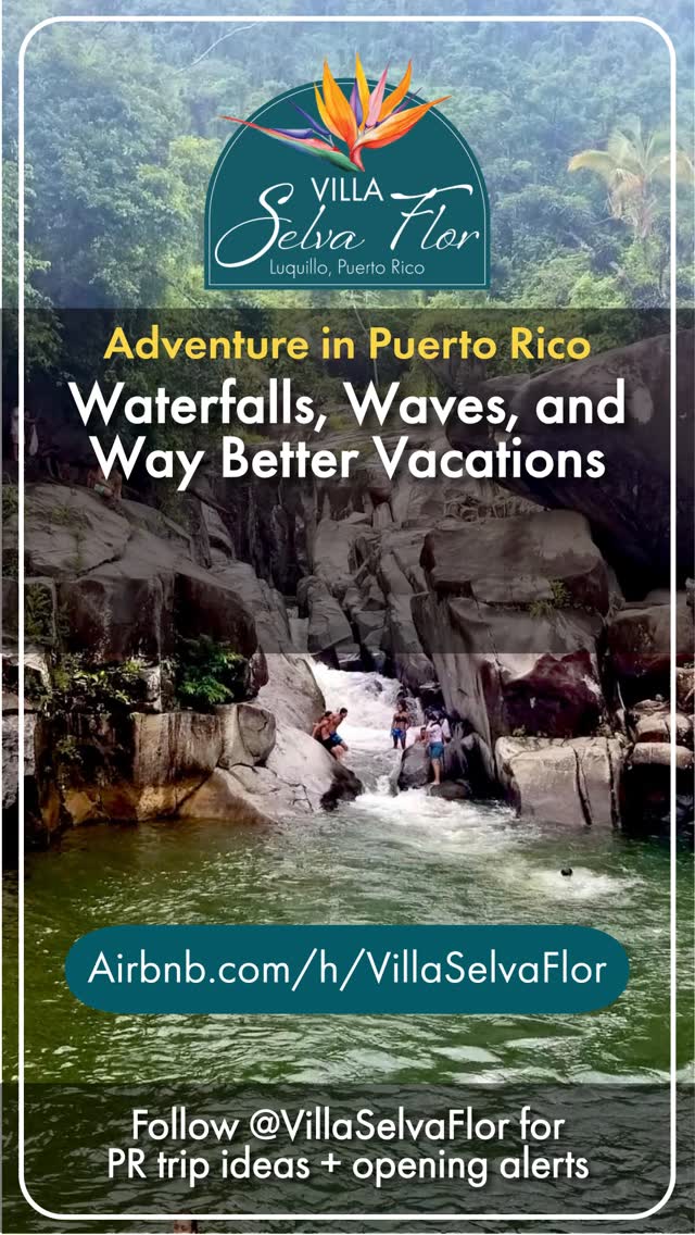 Waterfalls. Beach days. Repeat.
Rainforest trails, ocean air, and a house close to all of it.
📍 Luquillo, Puerto Rico | Top 1% of homes on Airbnb ⭐
Plan your escape → airbnb.com/h/villaselvaflor
#PuertoRico #PuertoRicoTravel #ElYunque #IslandAdventure #VillaSelvaFlor