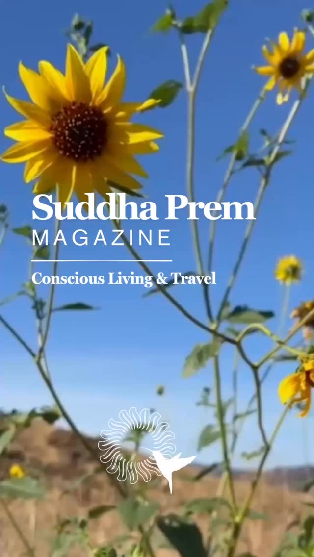 ๐จ๐๐๐๐พ 6 ๐๐ ๐๐พ๐๐พ.
๐ ๐ ๐๐๐๐๐๐บ๐๐๐๐ ๐๐ ๐ฝ๐พ๐๐๐๐ ๐๐๐ ๐
๐๐๐พ๐ ๐๐พ๐๐๐
๐, ๐ผ๐๐๐๐ผ๐๐๐๐๐
๐, ๐บ๐๐ฝ ๐๐๐๐ ๐ผ๐บ๐๐พ. ๐ณ๐๐๐ ๐๐๐๐๐พ ๐พ๐๐ป๐๐บ๐ผ๐พ๐ ๐๐๐พ ๐๐๐๐ฝ๐๐ ๐๐ฟ ๐
๐๐๐พ๐ฝ ๐พ๐๐๐พ๐๐๐พ๐๐ผ๐พ โ ๐พ๐๐๐
๐๐๐๐๐ ๐๐๐ ๐๐พ ๐ผ๐๐พ๐บ๐๐พ ๐๐พ๐๐๐๐๐บ๐
๐๐๐๐๐ผ๐๐๐๐พ๐ ๐๐๐บ๐ ๐๐๐
๐ฝ ๐
๐๐๐พ, ๐บ๐๐ฝ ๐๐๐บ๐ ๐๐ ๐๐พ๐บ๐๐ ๐๐ ๐
๐๐๐พ ๐๐ ๐ฝ๐พ๐๐๐๐๐๐โฆ ๐๐๐๐๐๐๐ ๐๐๐พ ๐
๐พ๐๐ ๐๐ฟ ๐๐บ๐๐พ๐๐๐๐๐, ๐๐๐๐๐พ๐๐๐๐๐ฝ, ๐บ๐๐ฝ ๐พ๐๐พ๐๐๐ฝ๐บ๐ ๐
๐๐ฟ๐พ.
๐ฑ๐๐๐๐พ๐ฝ ๐๐ ๐๐๐พ๐๐พ๐๐ผ๐พ, ๐ผ๐๐๐๐พ๐ผ๐๐๐๐ ๐๐ ๐พ๐บ๐๐๐, ๐บ๐๐ฝ ๐๐๐๐๐๐, ๐๐พ ๐๐พ๐ฟ๐
๐พ๐ผ๐ ๐๐ ๐พ๐๐๐๐๐๐๐บ๐
๐พ๐ผ๐๐
๐๐๐, ๐ฟ๐บ๐๐๐
๐ ๐
๐๐ฟ๐พ, ๐๐พ๐๐พ๐๐บ๐๐๐๐๐บ๐
๐๐พ๐บ๐
๐๐๐, ๐บ๐๐ฝ ๐๐๐พ ๐๐๐๐พ๐ ๐ฝ๐๐๐ผ๐๐๐
๐๐๐พ ๐๐๐บ๐ ๐๐๐๐๐บ๐๐๐ ๐๐ โ ๐พ๐๐๐พ๐ผ๐๐บ๐
๐
๐ ๐๐ ๐๐บ๐๐ฝ ๐๐๐๐พ๐.
๐ณ๐๐๐ ๐๐ ๐๐๐ ๐บ ๐๐๐๐ฝ๐พ ๐ฟ๐๐ ๐ฝ๐๐๐๐ ๐๐๐๐พ, ๐ป๐๐ ๐ฟ๐๐ ๐
๐๐๐๐พ๐๐๐๐ ๐๐๐๐พ ๐ผ๐
๐๐๐พ๐
๐. ๐ค
โจ ๐ฑ๐พ๐บ๐ฝ ๐๐๐พ ๐ฟ๐๐
๐
๐๐๐๐๐พ ๐๐๐๐๐๐๐ ๐๐๐พ ๐
๐๐๐ ๐๐ ๐ป๐๐ ๐๐
โจ ๐ฒ๐๐พ๐ ๐๐๐๐ ๐จ๐๐๐๐พ 6 โ ๐๐๐ ๐
๐๐๐พ
๐๐๐ฝ๐ฝ๐๐บ๐๐๐พ๐.๐ผ๐๐/๐๐บ๐๐บ๐๐๐๐พ