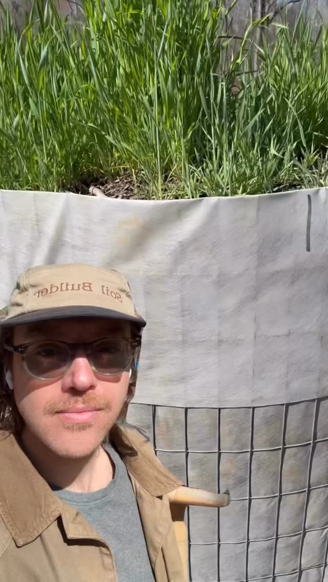 Green rye is our âfinishing stepâ for a reason. When we grow a living cover crop like rye over mature GROZOME, weâre building a living root network that feeds the soil food web. Those roots leak natural sugars and compounds (root exudates) that act like a dinner bell for beneficial microbes. This is especially important for arbuscular mycorrhizal fungi (AMF) the fungal partners that connect to plant roots and help plants access water and nutrients more efficiently.
And hereâs the cool part: GROZOME isnât âjust compostâ or a typical biological. Itâs a lab-verified living community thousands of active microbes working together (weâre talking about 3900+ live microbes) to help kickstart a healthier biome around your roots. That means better nutrient cycling, stronger root-zone resilience, and a more self-sustaining system over time.
Whether youâre: starting seeds,
trying to rescue tired potting soil, caring for houseplants, or building a garden bed that stays fertile without leaning on heavy synthetic inputsâŠ
GROZOME is made to help you grow healthier plants by growing a better soil ecosystem.
Ready to try it?
Use code SPRING10 for 10% off and order from our online store today. Let the microbes do the work!
#soilhealth #grozome #livingsoil #soilbiology #healthysoil