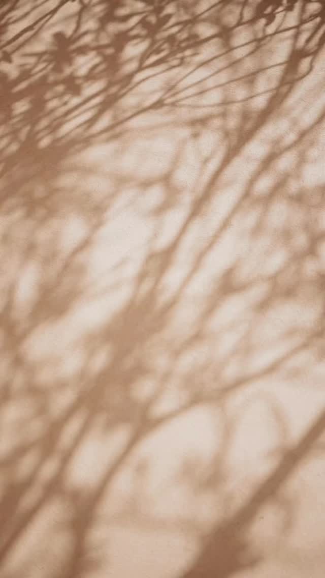 When everything feels uncertain...
During times of change, it’s easy for the mind to drift into everything that could go wrong.
The uncertainty, the pressure, the constant need to figure things out. When you notice yourself spiraling, pause gently and ask:
💫 What feels steady right now?
“It could be something simple. Your breath, your routine, a person, or even a small moment in your day.”
🍃 Grounding into what is stable brings the mind back from overwhelm and reminds the body that not everything is uncertain.
You don’t need to solve everything at once.
You just need to return to what feels steady, one moment at a time.
The Way Forward.
Alma Wellbeing By Anam 💫
#lifetransition #mindsetcoaching #wellness #nlp #almabyanam