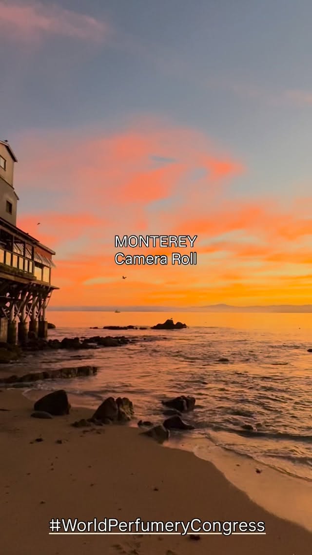 Celebrate the art, science, and passion of fragrance this International Fragrance Day with the American Society of Perfumers.
This summer, we invite you to be part of something truly extraordinary at the World Perfumery Congress in beautiful Monterey. Immerse yourself in the sights and sounds of this iconic coastal destination while connecting with the most influential creators, innovators, and thought leaders in the global fragrance community.
From inspiring conversations to cutting-edge discoveries, this is where creativity meets craftsmanship at the highest level.
Join us in celebrating fragrance—and help shape its future.
#linkinbio to register or visit www.wpc.perfumers.org
#fragrance #internationalfragranceday #perfumers #wpc2026