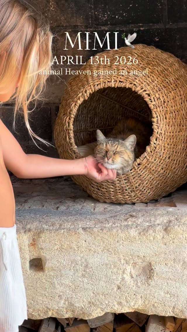 Today sweet old lady Mimi took her last breath. What a gift and honor it was to have her in our lives. We inherited Mimi with the house and she quickly went from a barn cat to enjoying her days curled up in the kitchen. My daughters would rush home from school every day to shower her with kisses. She was the sweetest old lady whom we adored. This was her home long before we arrived and so we gently laid her to rest in a quiet spot under an olive tree. She will always have a special place in our hearts š±šļøā¤ļø