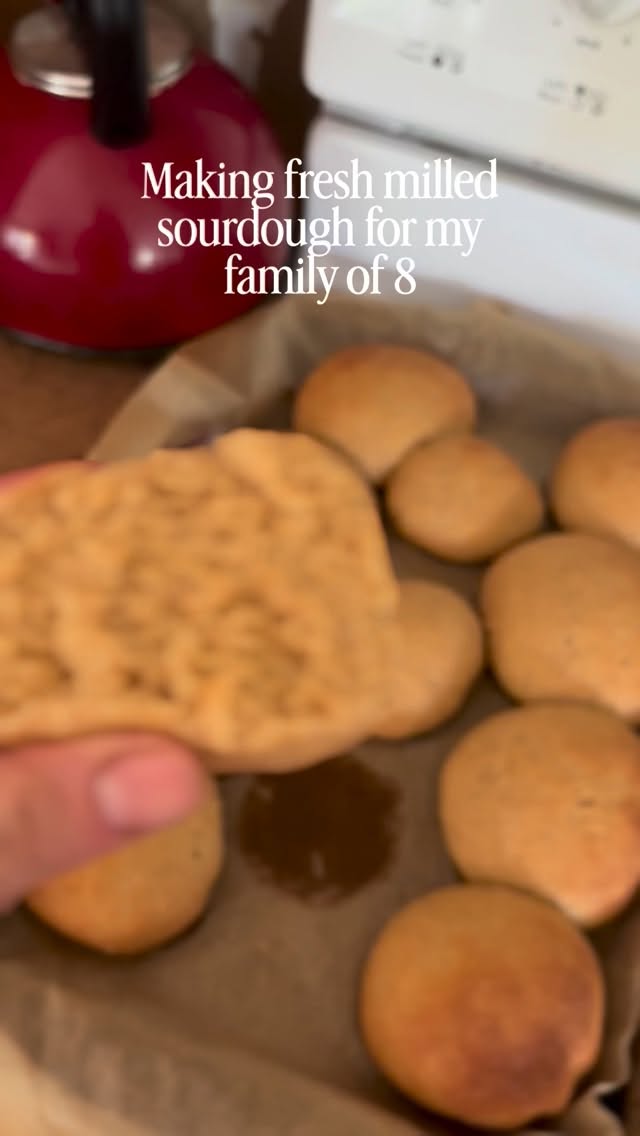 The biggest learning curve was how it takes more time for the fresh milled flour to absorb so if you arenât patient, you end up adding too much and get a really dense loaf.
Comment BREAD for my free sourdough recipe, this still says the all purpose amount but I just swap out with hard red/white/ spelt combo
#fromscratch #bread #recipe #simple #countryliving