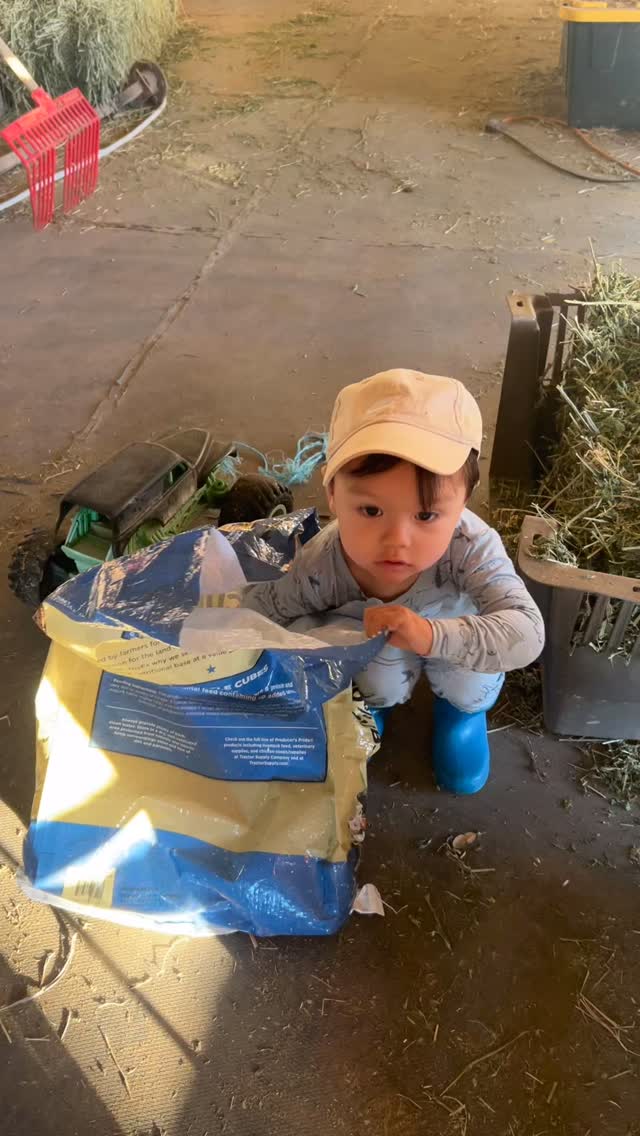 Problem solving in action!
Sometimes it’s so hard to stand back and watch him struggle when it would be easy to just do it for him. It took a little while for him to figure out how to get those last cattle cubes at the bottom of the bag, but I let him work through it.
The look of pride on his face when he finally did it says it all! ✨