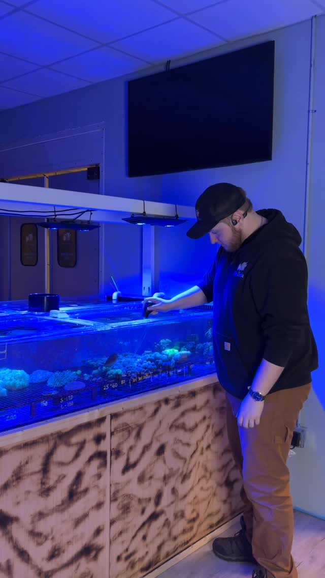 Those receipts are between me and God. 😂 Open today from 12-5! #reeftank #aquariumhobby #reefaquarium #fishtank #underthesea