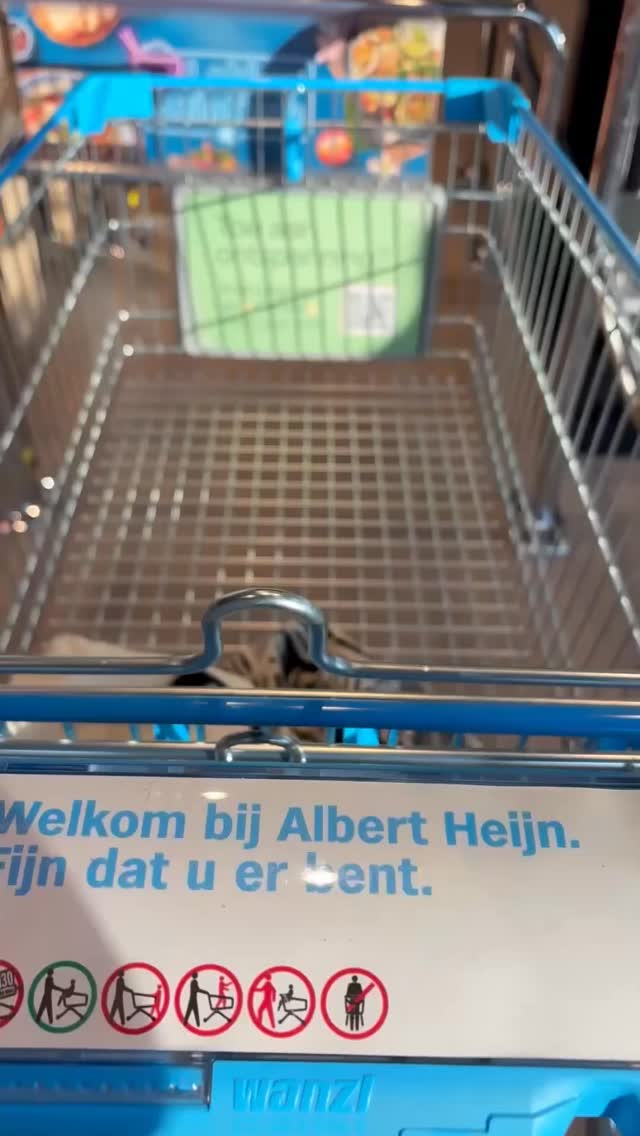 Wat ligt er in mijn winkelwagentje als hormoonspecialist? 👇
Ik kies mijn boodschappen niet alleen op ‘gezond’, maar op wat mijn hormonen écht ondersteunt:
→ stabiele bloedsuiker (minder cravings)
→ voldoende vetten & eiwitten (voor verzadiging)
→ pure producten (minder belasting voor je lijf)
Geen perfecte diëten, maar slimme keuzes die je elke dag kunt maken 🙌
Welke ligt er standaard in jouw mandje? Sla deze post op voor je volgende supermarkt bezoek🩷