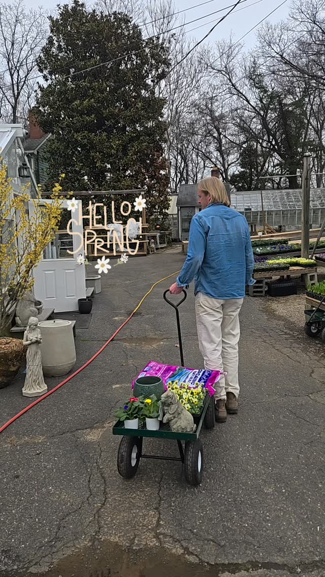 We couldn't be more excited to hop into spring planting! Happy first day of spring!
@coastofmaineorganic
@campania.international
@bedfordbailey
#colonialgardens #springequinox #gardencenterlife #springplanting #jumpingforjoy