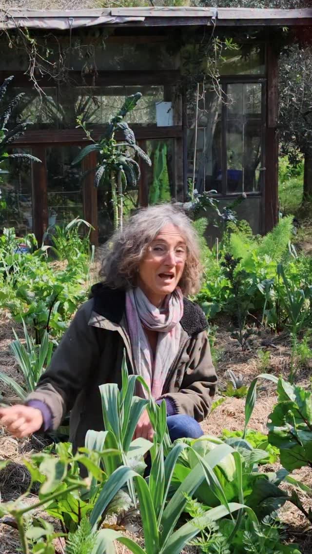 Realtà check: l’orto è fango, fatica e lumache ninja.
Non sempre zen.
Ma è vero. ❤️
La vita, come l’orto, non è perfetta come appare su Instagram.
Ma non per questo è meno bella.
Siete d’accordo?