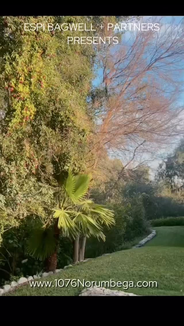 ✨ A Private Sanctuary Framed by Nature ✨
• 3 Bedrooms
• 2 Bathrooms
• 2,713 Sq. Ft. (A)
• Year Built: 1951
• Formal Living Room
• Great Room w/Fireplace
• Kitchen w/Built-In Appliances
• Utility Room
• Owned Solar System
• Freshly Painted Inside + Out
• Central Air + Heat
• Formal Living Room
• Great Room w/Fireplace
• Kitchen w/Built-In Appliances
• Expansive Yard
• 2 Car Garage w/ Upper Storage
• Lot Size: 39,250 Sq. Ft.
DM to book a showing 📩