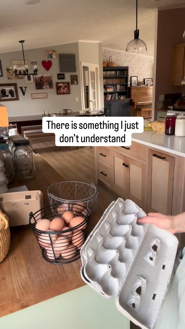 Inspired by real conversations🙃
The longer I’ve paid attention, the more I realize we’ve gotten used to prices that don’t always tell the whole story.
& I’ll be honest, before we had animals, I thought the same way. But now I know store-bought and small farm aren’t the same, no matter what the labels say.
And I get it, everything is more expensive right now. But it is for small farmers too
#homestead #farmlife #eggs #local #country