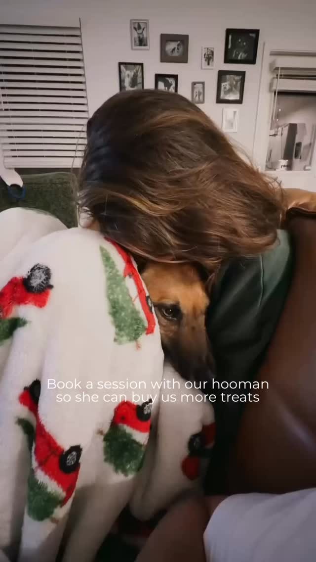 Being an emotional support animal is a full-time job. We clock in at 6am for morning cuddles, work straight through the afternoon zoom calls, and provide overtime comfort when the 2am existential dread hits. 🐾
But even the best emotional support animals know when it’s time to call in the professionals. That’s where our hoomans (aka the therapists at ALPS) come in. They handle the heavy stuff — the “why am I like this?” spirals, the relationship tangles, the stuck places — so we can focus on what we do best: unconditional love and demanding treatos.
So book a session with our hoomans. You’ll get the support you need, and we’ll get a few more biscuits in the jar. Fair trade. 😉
———
#dogsofig #therapymemes #therapists #newyorklife #emotionalsupportdog
*Instagram posts are not a substitute for therapy/mental health services or a continuation of care. These posts and activities are for informational purposes only. If you participate in any activities, it is your choice to do so and the practice is not held liable for any risk associated with these activities. You engage in the activities at your own risk. Liking, commenting tagging or sharing can limit confidentiality.