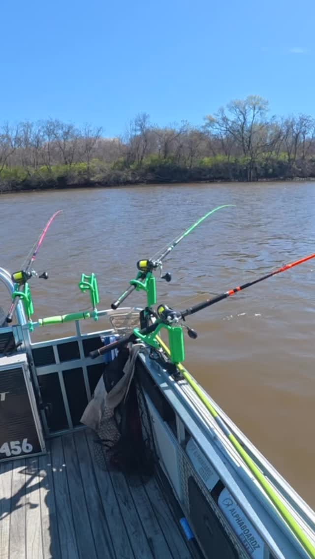 Fish was fired up!! #bluecatfish #trophyfish #riverfishing