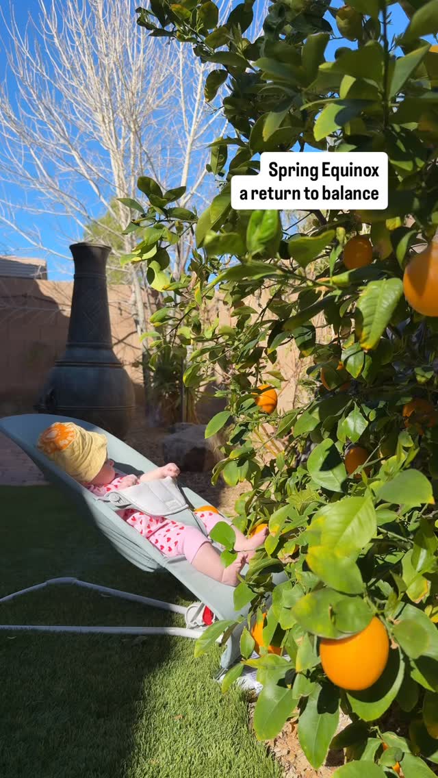 Happy Spring Equinox! šæ
The Spring Equinox marks a moment of balance, equal light and dark⦠a gentle turning point into a season of growth, renewal, and new life.
Nature doesnāt rush its bloom.
She softens, opens, and trusts the timing.
What if we allowed ourselves to do the same? š±
A gentle reminder: you donāt have to force your next chapter into existence.
You can softly bloom into it š·
This season invites us back into balance,
to honor where weāve been,
and gently open to whatās ready to emerge.
What are you nurturing this season? šāØ
(For starters, I am inspired to get my daughterās little hands and toes into the earth š¤)