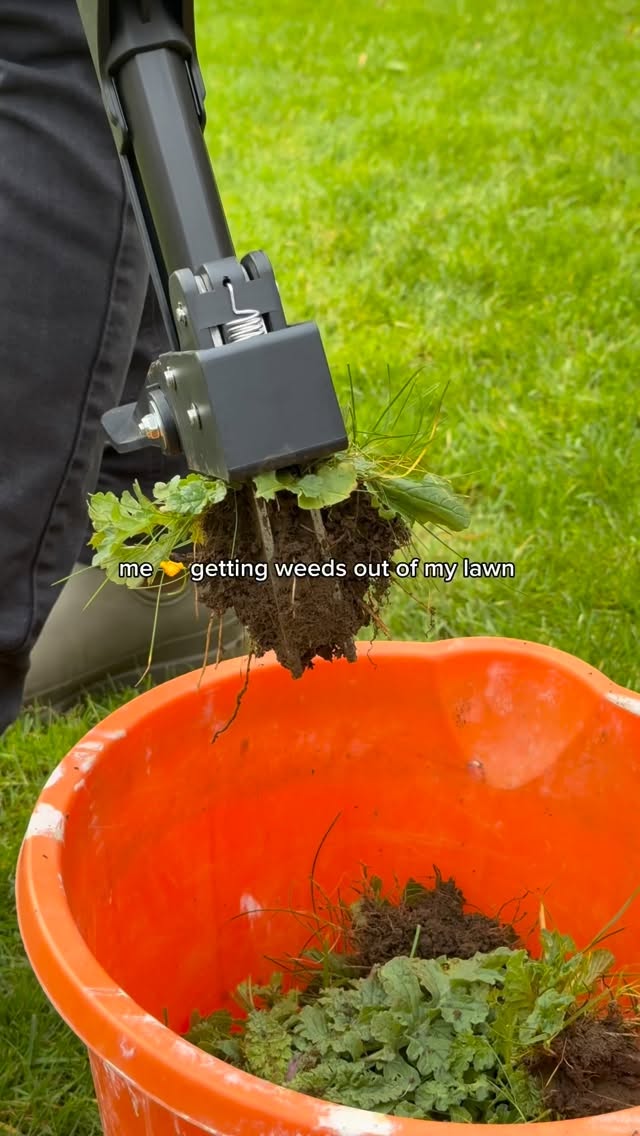 If you don’t know, get to know🤫
Our weedXtractor tool makes getting the weeds out of your lawn as easy as possible. It really is as simple as it looks 🌱
weeds | removing weeds | garden | grass | gardening