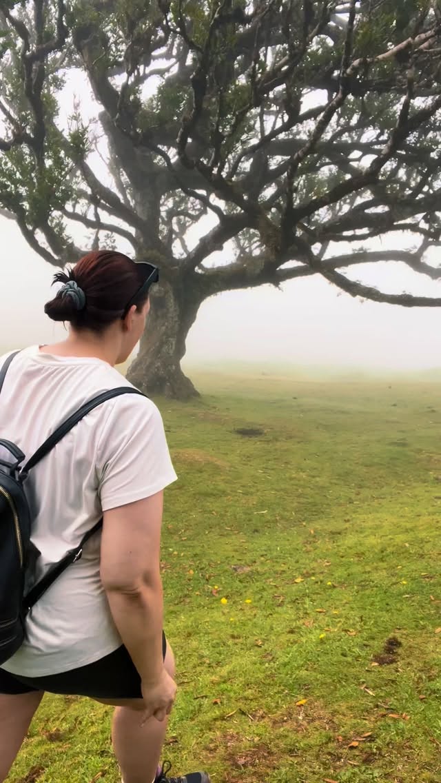 Peace worth more than approval 🤍 #peace #nature #forest #fulfilment #schooloffulfilment