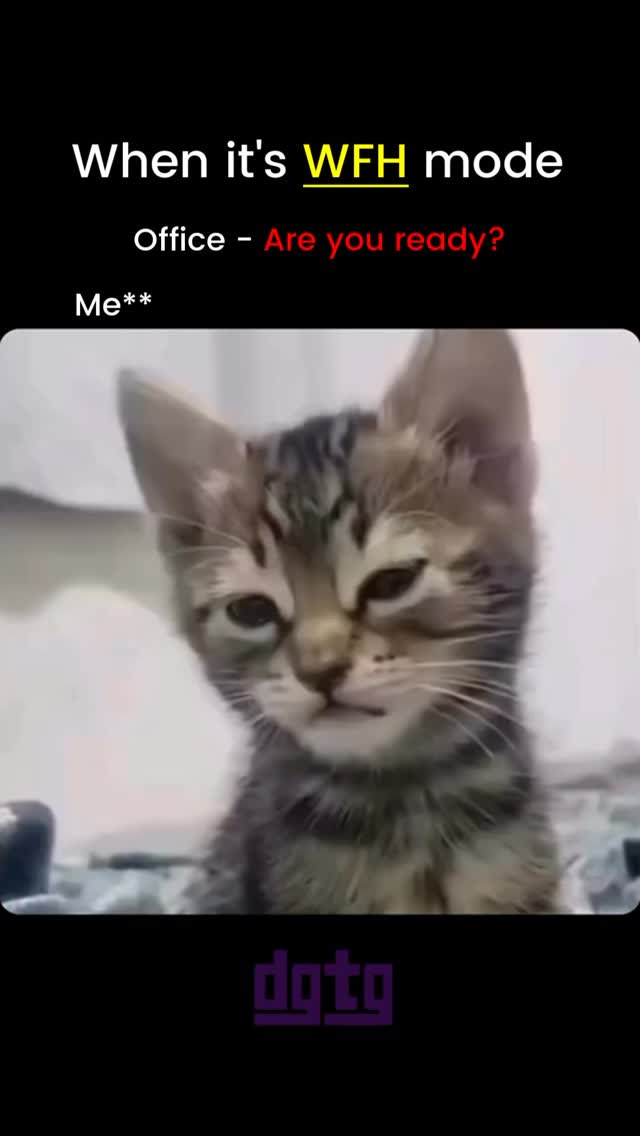 Just WFH things…..
#office #corporatelife #officehumor