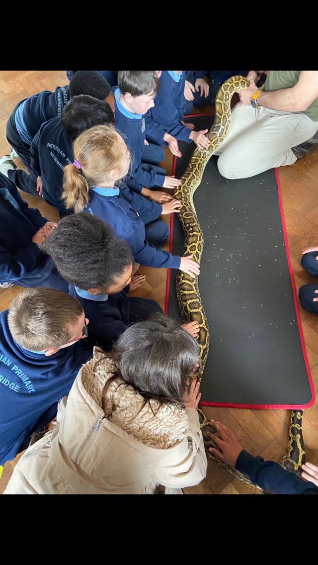 2nd class had a great time with Jungle Dave today on his visit to the school with all of his interesting friends 🐍🕷️