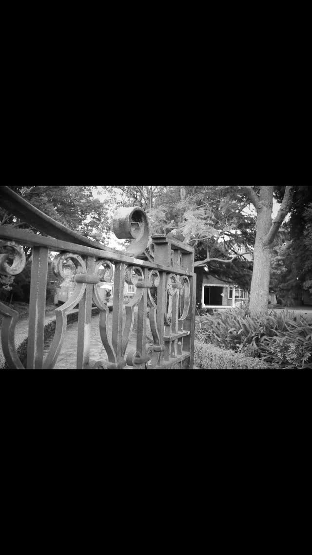 Having Homowood withdrawals?
Never fear, we’ve finally dropped our short film The Homo-ing, parodying the 1963 film The Haunting! (Best enjoyed if you watch the trailer for the original film first to get the references)
Link in bio to see the dumb shenanigans we got up to in New Years at a haunted Airbnb!
Link in bio for the full short film