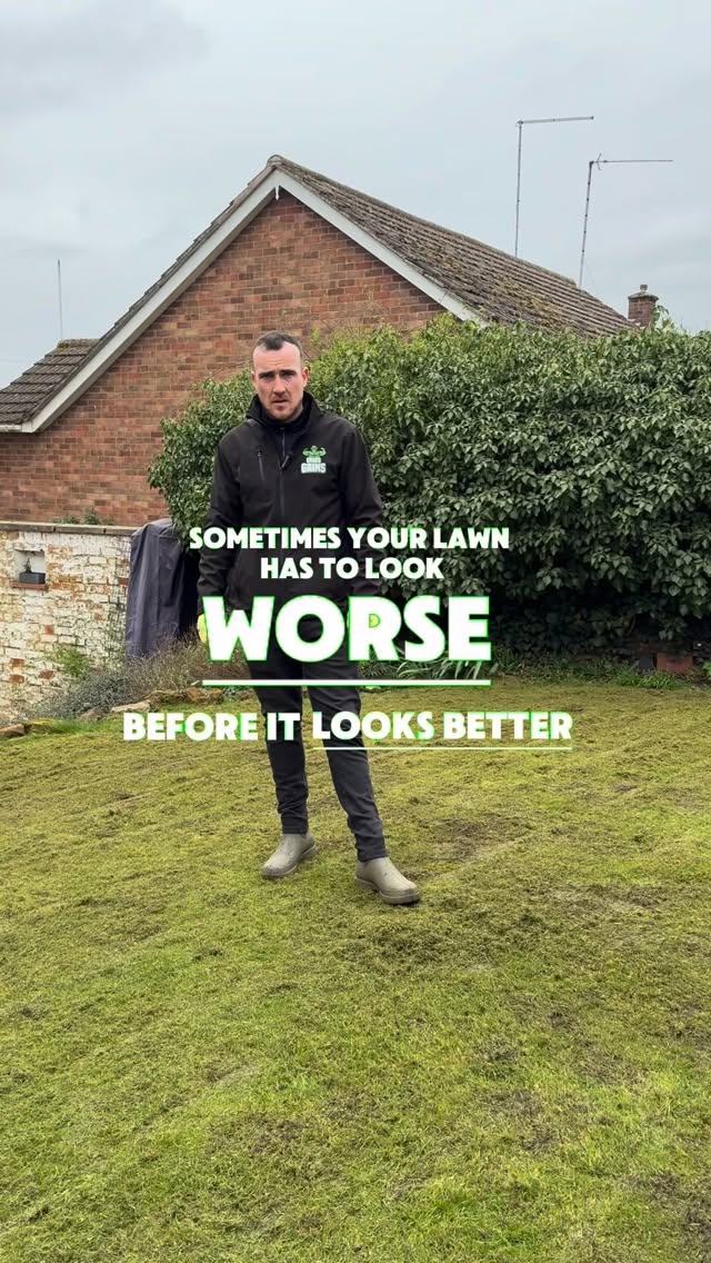 If you’re wondering why scarification is an important part of your lawn care renovation, then here’s why ⬇️
Scarifying your lawn helps to remove the dead grasses, moss and thatch from your lawn which helps with air flow, as well as drainage. It is good to do before aerating so when the new grass seed and fertiliser is applied, it can really help new grass growth.
grass | lawncare | lawn | gardening | scarifying