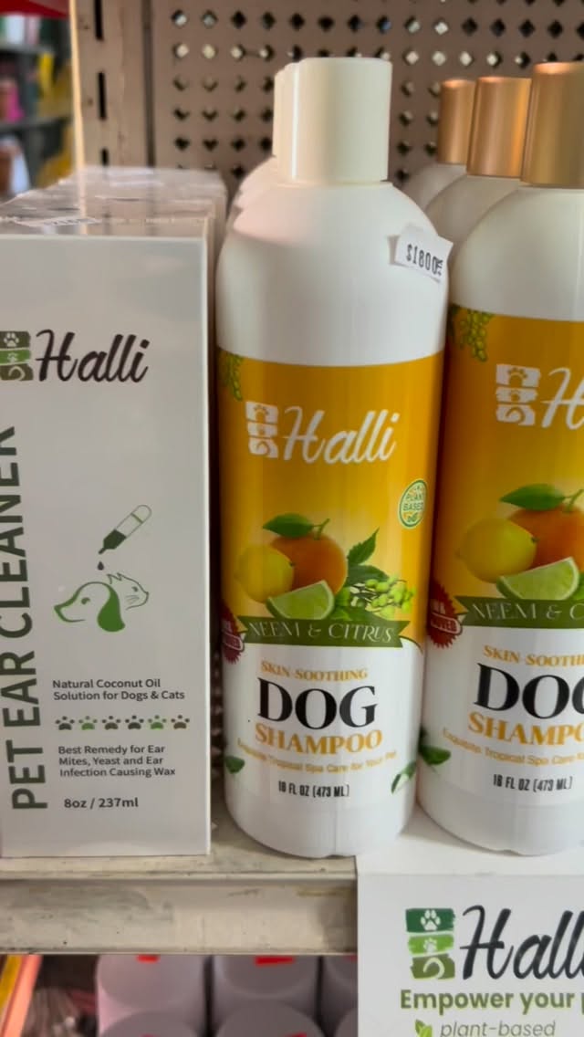 Explore the power of Halli’s plant-based pet shampoos, tailored to cater to your furry friend’s needs!
Our pH-balanced formulas are gentle on skin and perfect for every pet.
Neem & Citrus: A fan favorite for all-around freshness! 🍋
Charcoal & Rosemary: Ideal for tackling those extra stinky moments! 🌿
Fragrance-Free: Hypoallergenic and perfect for puppies, kittens, and sensitive noses! 🐶🐱
Shop our shampoos now at hallipetcare.com or find them at select retail outlets.
@allpetsvetclinic876
@hiprosupercentre
@gfoodsupermarket.liguanea Super Pet & Garden Centre
Treat your pet to the natural care they deserve! 💚
#hallipetcare #PetCareEssentials #brandjamaica #LoveYourPet #catshampoo