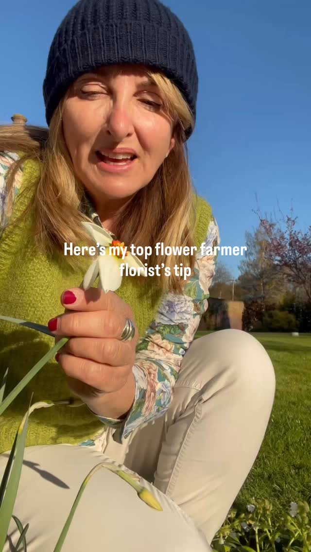 Cutting your garden flowers at the right time is key to having flowers that last a long time in a vase. I’ll be sharing lots of my flower growing and arranging tips at my new Flower Clubs this year which start in April. One a month on a Saturday morning, join me for a casual tour in the cutting garden, I’ll share lots of tips and then watch me do a demo of sustainable arranging whilst having a cup of coffee and slice of cake. A great way to spend a Saturday morning in spring and summer. Further details on my website Gate House Florals under the workshops tab. My fresh flower season opens next month- can’t wait! 🌸☀️😃Lisa