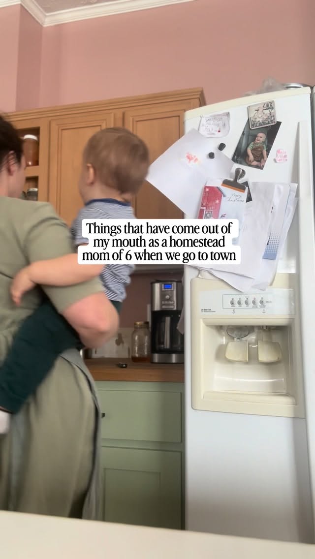 When the farm kids come to town 😅😂 the “let’s stare at people” game is a fave and I don’t mind as much until we get stuck behind the train and then 6 sets of eyes are glued to whoever they picked haha
Anything funny your kids have said?
#farm #homestead #kids