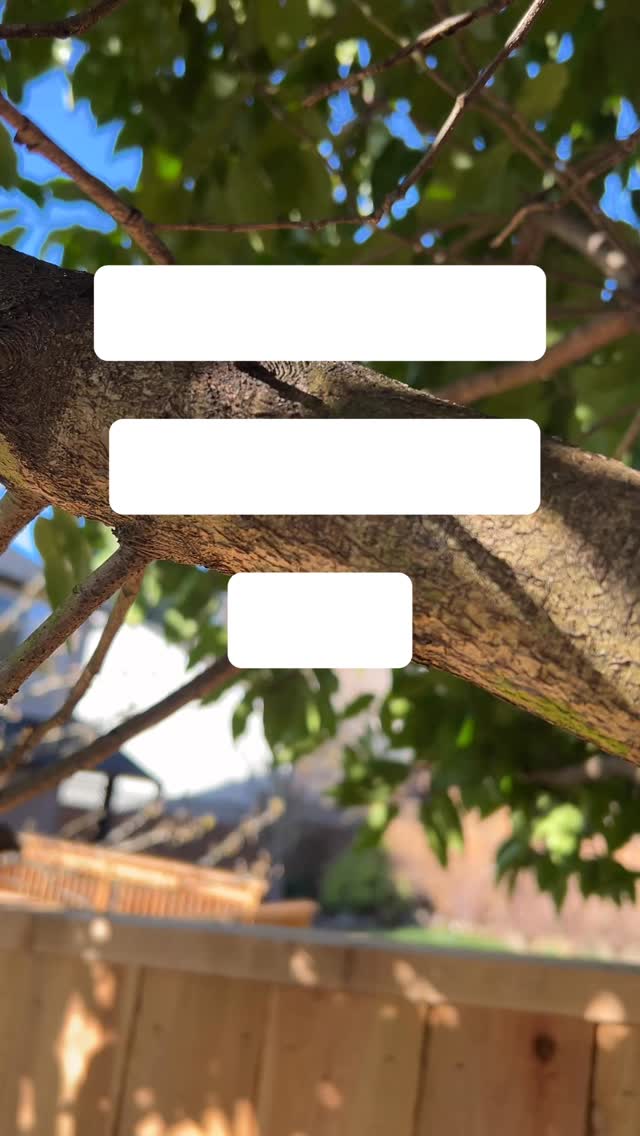 Some more pruning tips...Part 2.
Warning: Do "this" at home. 🙂