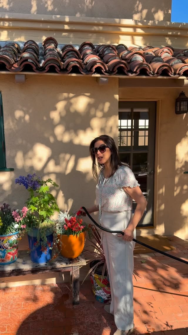 When the heat rises, your plants don’t just need water… they need intention.
At Plantology Plants & More, we believe proper watering is the difference between surviving and truly thriving.
Early mornings or late evenings are your golden hours, when the sun is gentle and every drop has time to nourish, not evaporate.
Water deeply, not just lightly… encourage roots to grow strong and resilient beneath the surface. And always remember, consistency creates vitality.
In the warmth of the season, it’s not about giving more, it’s about giving better.
Because with the right care, your plants don’t just endure the heat… they flourish in it.
#Plantology #PlantCareTips #SummerPlants #WateringTips #PlantLovers