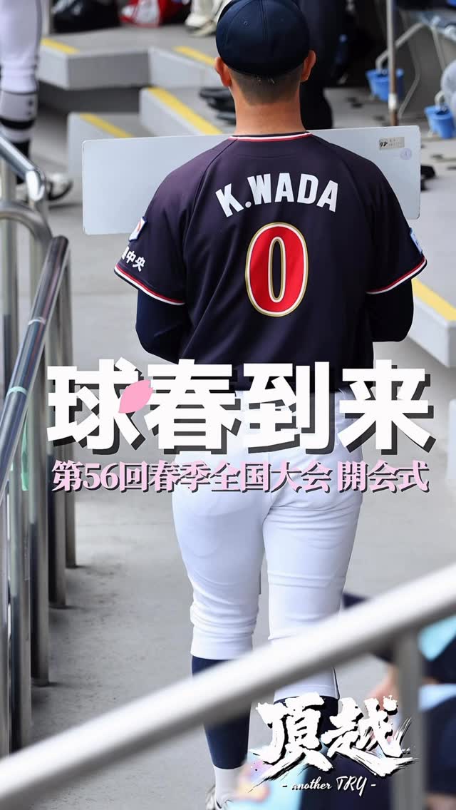#第56回日本少年野球春季全国大会 開幕!
この春、再び全国の頂へ挑む彼らの背中を
ぜひ応援してください!
📣皆さんの「全力の応援メッセージ」をコメント欄で待っています!
#東海中央ボーイズ
#球春到来
