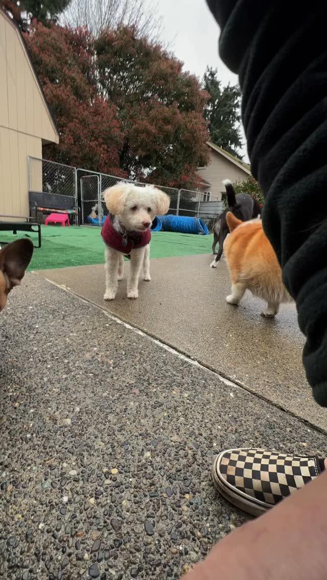 We never stop learning, growing and supporting each other. That’s what makes it all worth it.