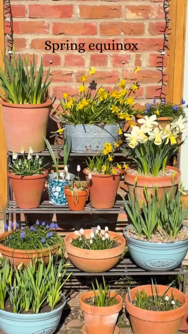 👩🏽🌾 The Spring Equinox ✨
A gentle turning point.
Equal light and dark, a moment of balance as everything begins to bloom around us.
It’s a reminder that growth doesn’t need to be rushed, it unfolds in its own time, beneath the surface first, before we ever see it.
What are you welcoming in this new season?
#thegranarygarden #springequinox
#seasonalliving #gardenmagic #newbeginnings