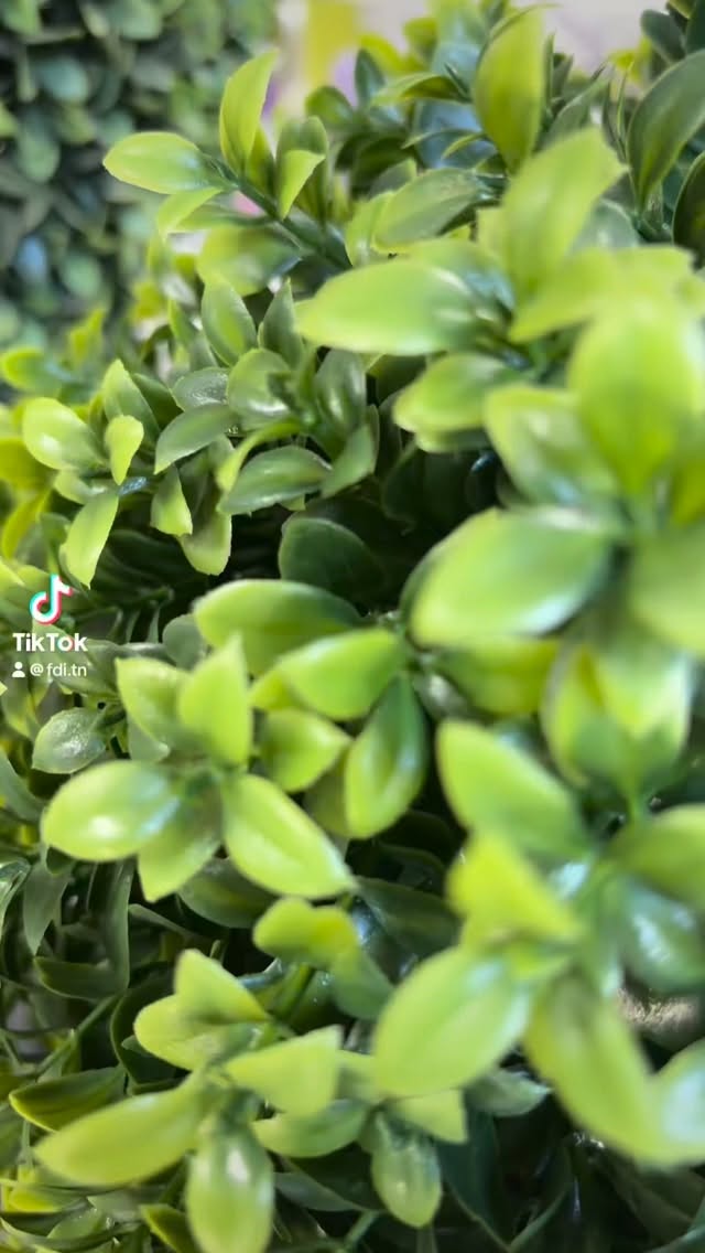 Spring has officially arrived in our showroom 🌼 Come find your perfect bloom!
.
.
.
.
.
#flowers #direct #tennessee #spring #fyp